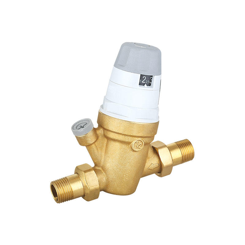 Brass water pressure regulator adjustable lead free inlet screened filter AMT-3014