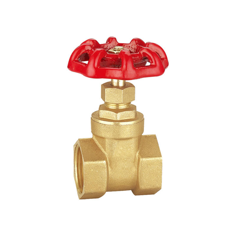  High quality brass water gate valve AMT-6002