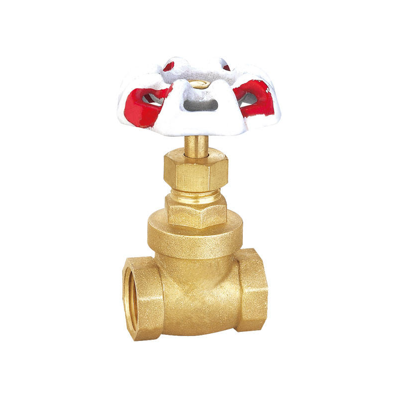  Chinese manufacture high quality brass gate valve AMT-6006