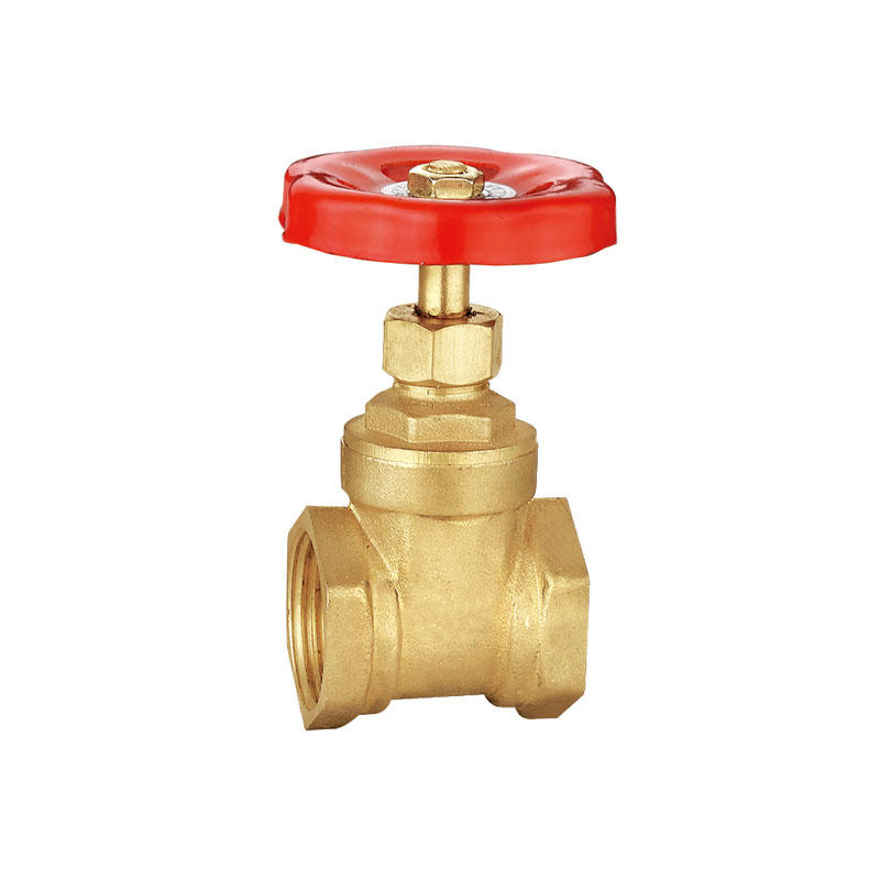 Special hot selling brass gate valve AMT-6008