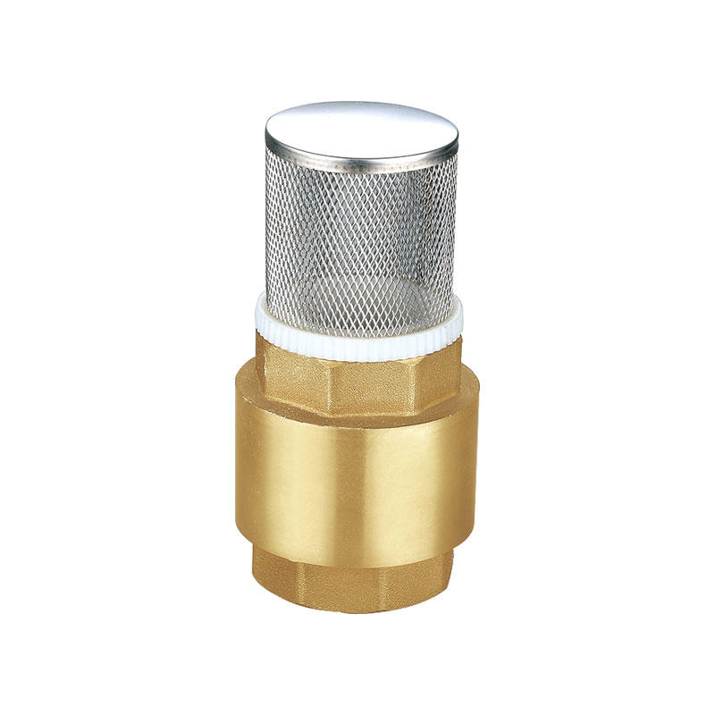  Brass universal check vale with filter AMT-8002