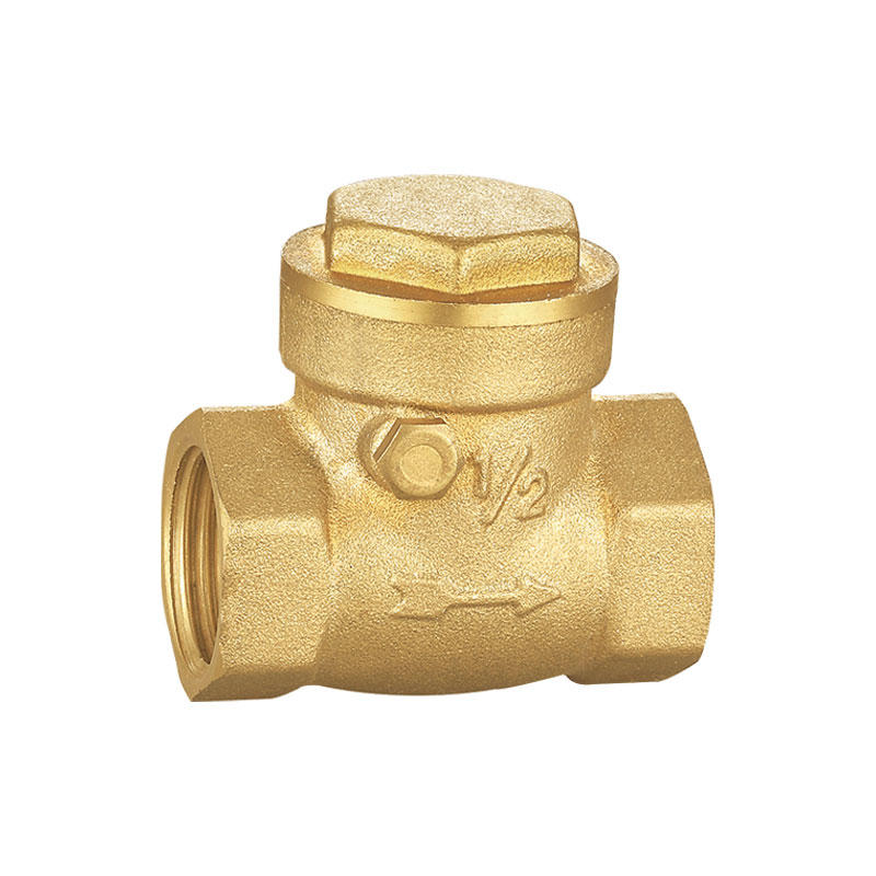 High quanlity non-return brass swing check valve AMT-8006