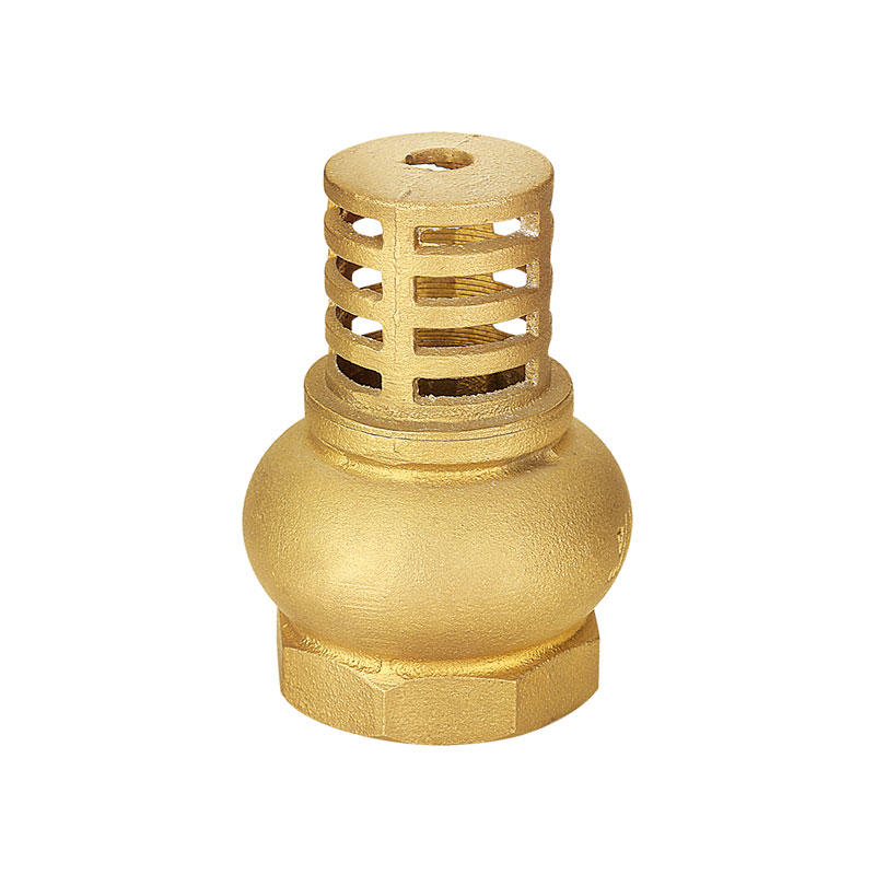 Customized brass check valve foot valve AMT-8009
